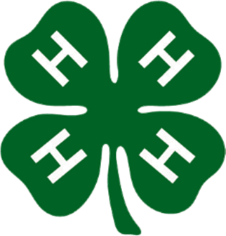 green 4-leaf clover with a white "H" on each leaf. A symbol for the 4-H program