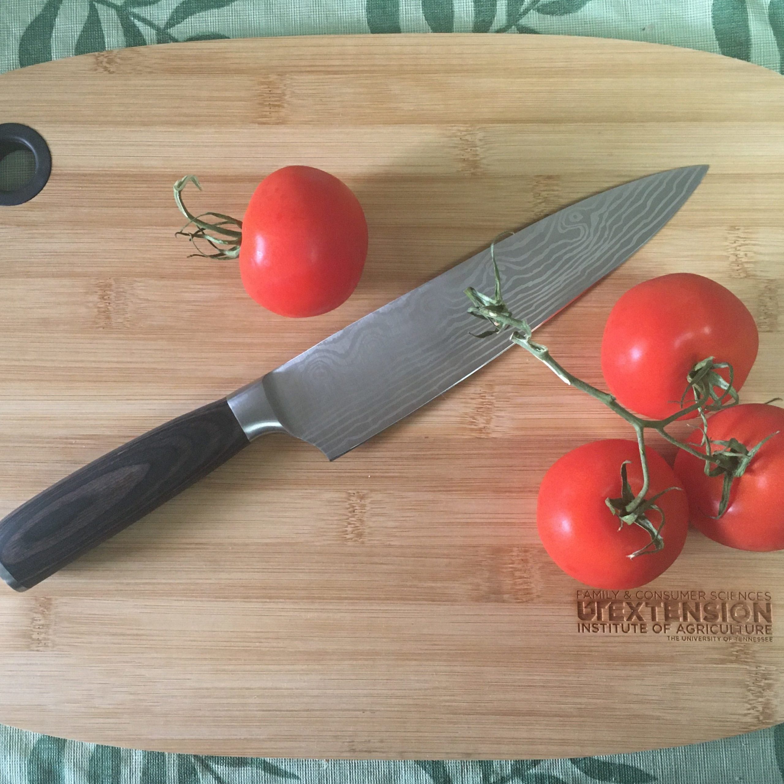 Decorative Image: Cutting board with a knife and tomatoes 