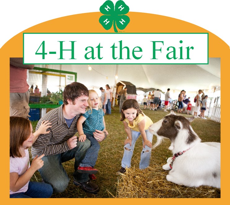 image of kids and father looking at a goat that says 4-H at the Fair