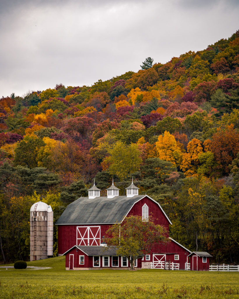 A vertical shot of a large barn near a hill with colorful autumn trees