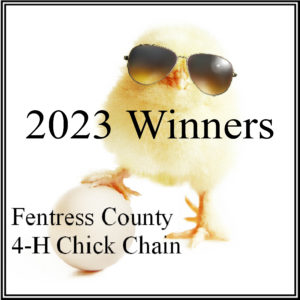 Image of chick. Click here to view 2023 Chick Chain Contest results